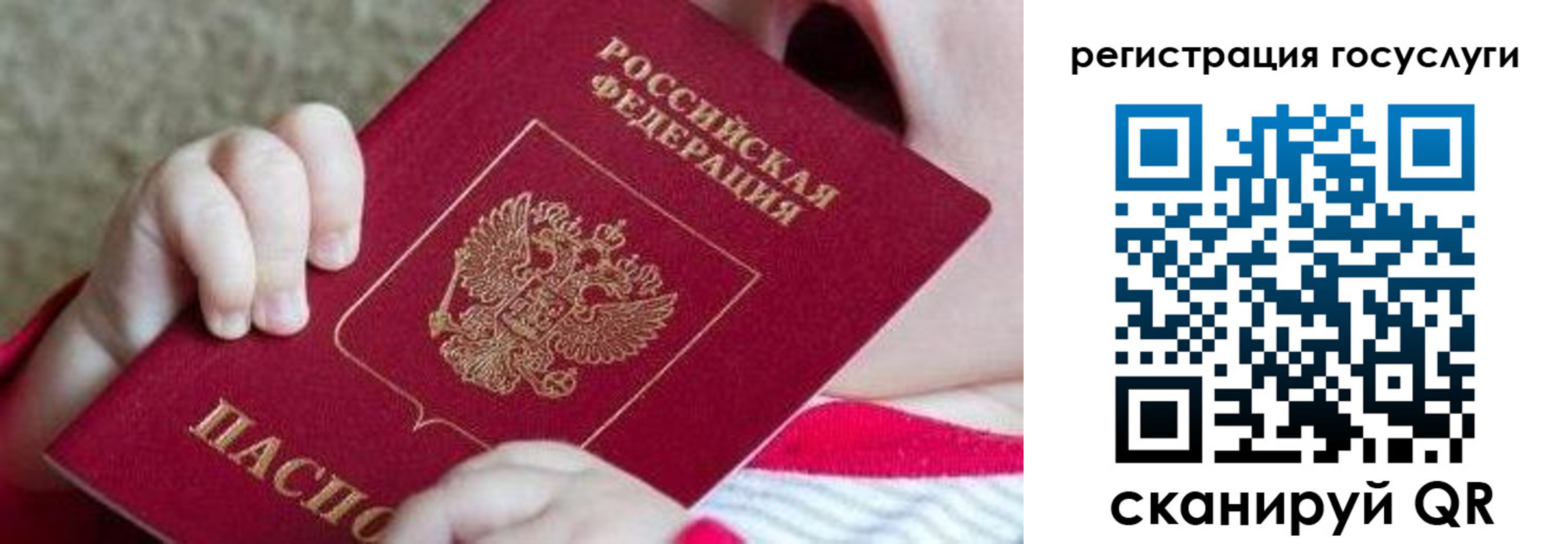 регистрация для школы в Фрязино